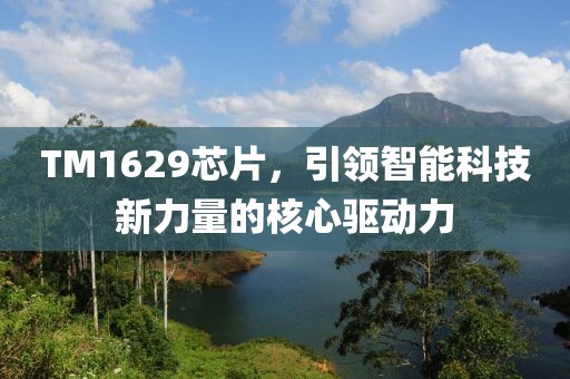 TM1629芯片，引领智能科技新力量的核心驱动力