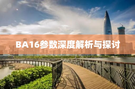 BA16参数深度解析与探讨