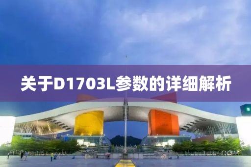 关于D1703L参数的详细解析