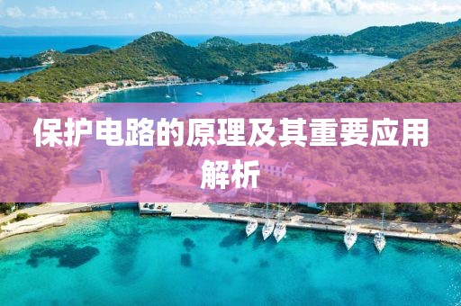保护电路的原理及其重要应用解析