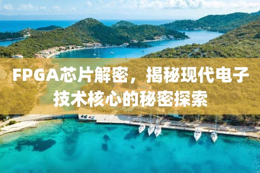 寻梦人 第16页