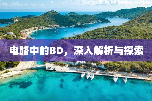 电路中的BD，深入解析与探索