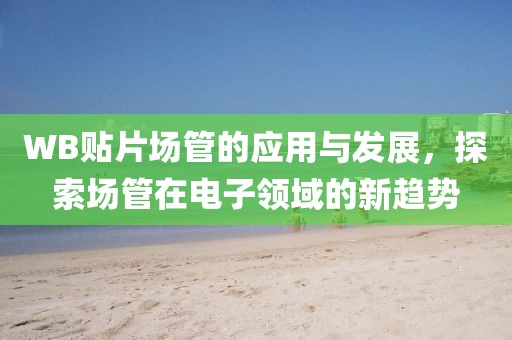 WB贴片场管的应用与发展，探索场管在电子领域的新趋势