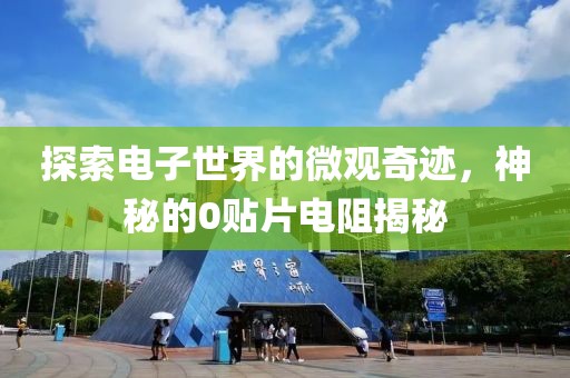 襟上花 第12页