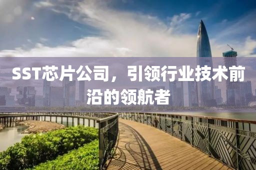 SST芯片公司，引领行业技术前沿的领航者