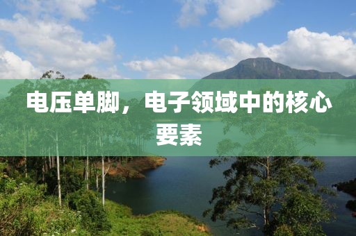 电压单脚，电子领域中的核心要素