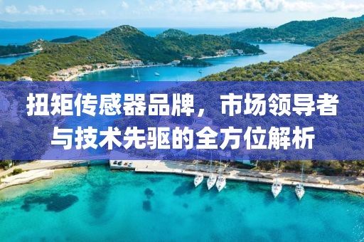 扭矩传感器品牌，市场领导者与技术先驱的全方位解析