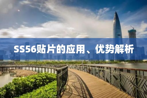 猫梦鱼 第15页