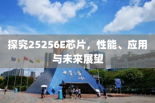 探究25256E芯片，性能、应用与未来展望