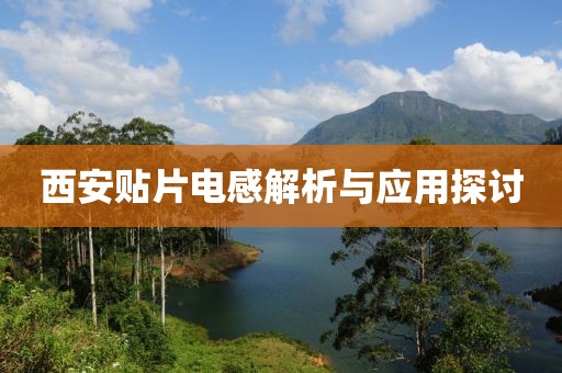 西安贴片电感解析与应用探讨