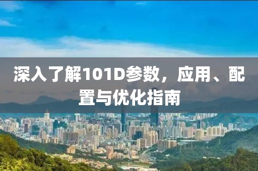 深入了解101D参数，应用、配置与优化指南