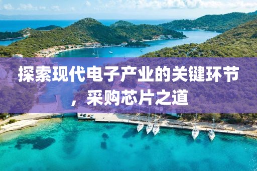探索现代电子产业的关键环节，采购芯片之道