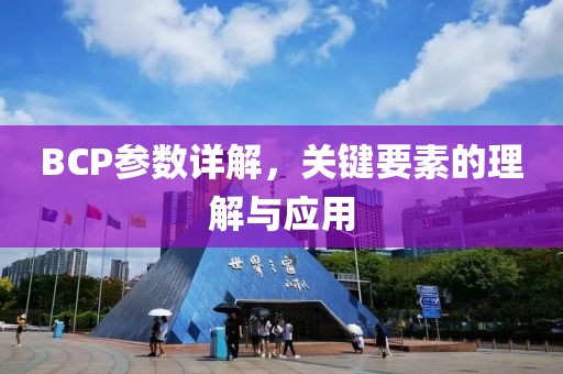 BCP参数详解，关键要素的理解与应用