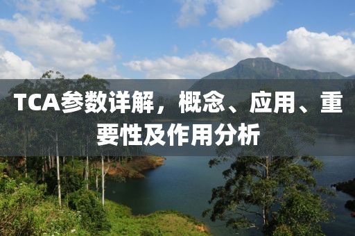 TCA参数详解，概念、应用、重要性及作用分析
