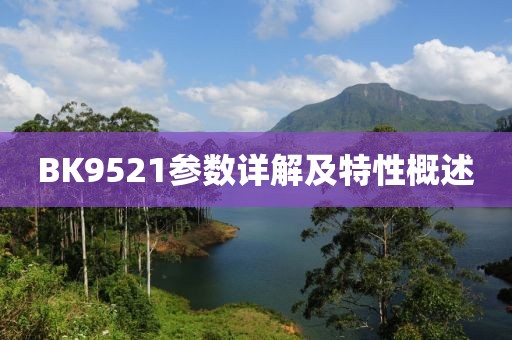 BK9521参数详解及特性概述