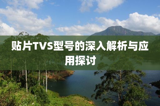贴片TVS型号的深入解析与应用探讨