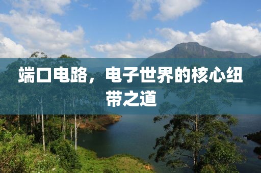 端口电路，电子世界的核心纽带之道
