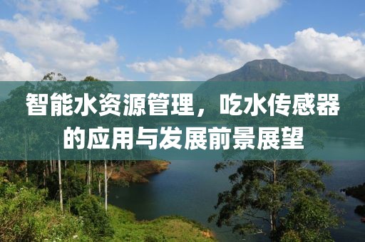 智能水资源管理，吃水传感器的应用与发展前景展望