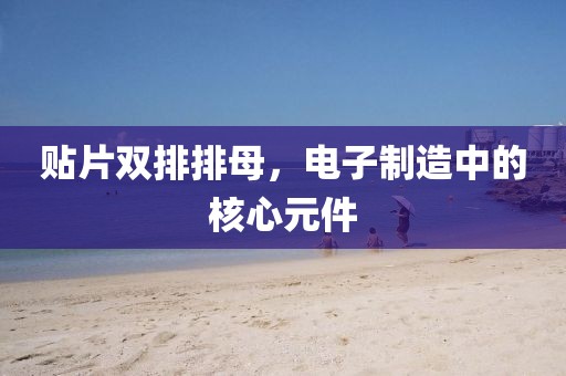 2025年3月 第428页