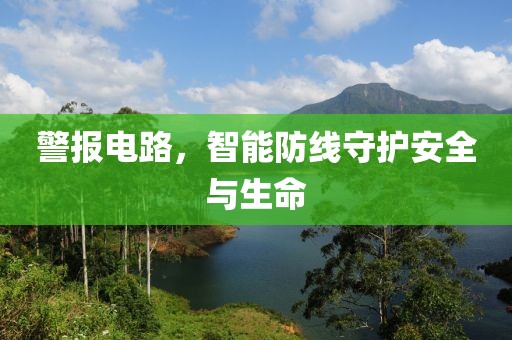 警报电路，智能防线守护安全与生命