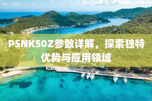 事往人 第17页