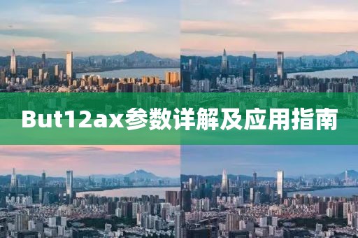 But12ax参数详解及应用指南
