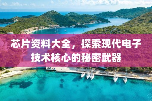 芯片资料大全，探索现代电子技术核心的秘密武器