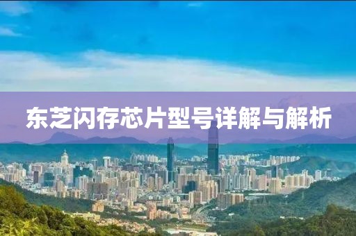 东芝闪存芯片型号详解与解析