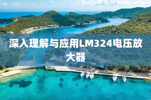 深入理解与应用LM324电压放大器