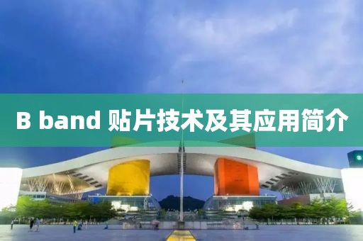 B band 贴片技术及其应用简介
