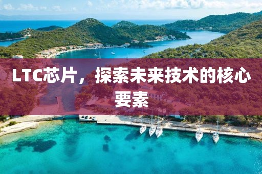 LTC芯片，探索未来技术的核心要素