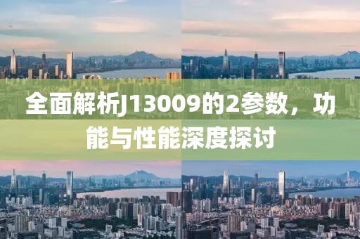 全面解析J13009的2参数，功能与性能深度探讨