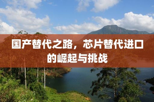 国产替代之路，芯片替代进口的崛起与挑战