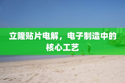 立隆贴片电解，电子制造中的核心工艺