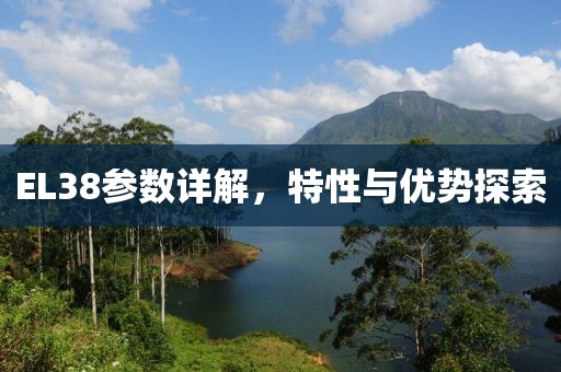 EL38参数详解，特性与优势探索