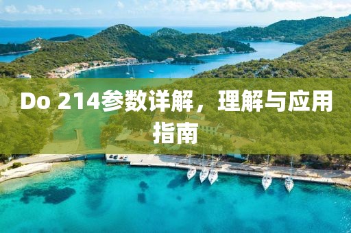 Do 214参数详解，理解与应用指南