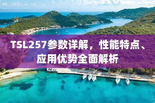 TSL257参数详解，性能特点、应用优势全面解析