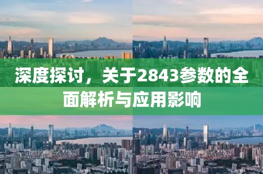 深度探讨，关于2843参数的全面解析与应用影响