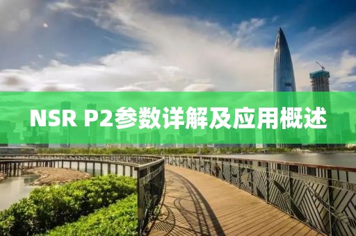 NSR P2参数详解及应用概述