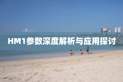 HM1参数深度解析与应用探讨