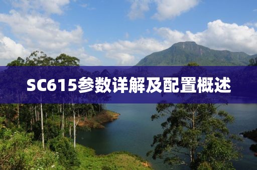 SC615参数详解及配置概述