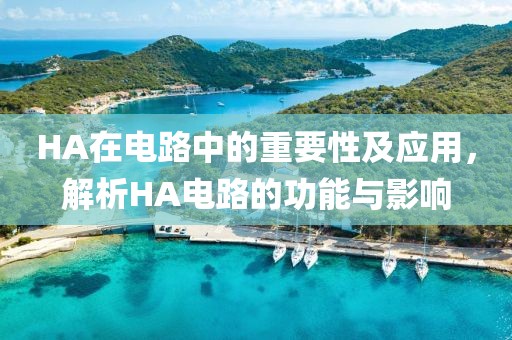 HA在电路中的重要性及应用，解析HA电路的功能与影响