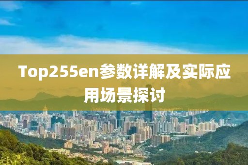 Top255en参数详解及实际应用场景探讨