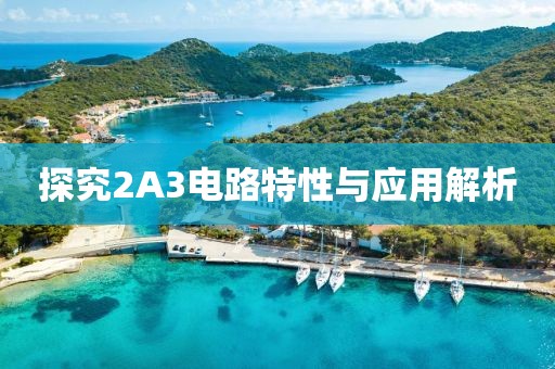 探究2A3电路特性与应用解析