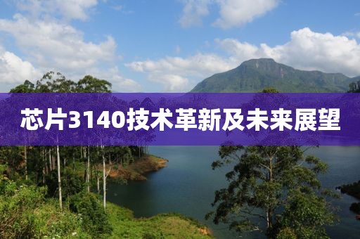 芯片3140技术革新及未来展望