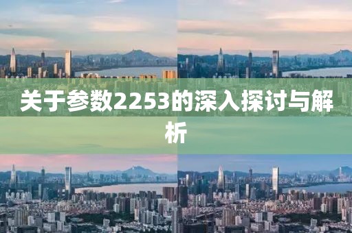关于参数2253的深入探讨与解析