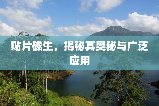 贴片磁生，揭秘其奥秘与广泛应用