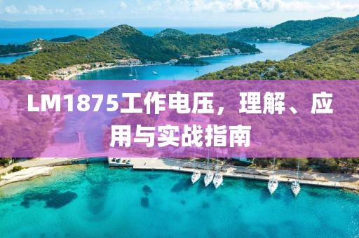 LM1875工作电压，理解、应用与实战指南