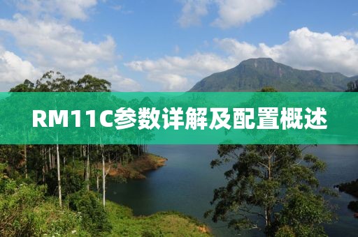 RM11C参数详解及配置概述