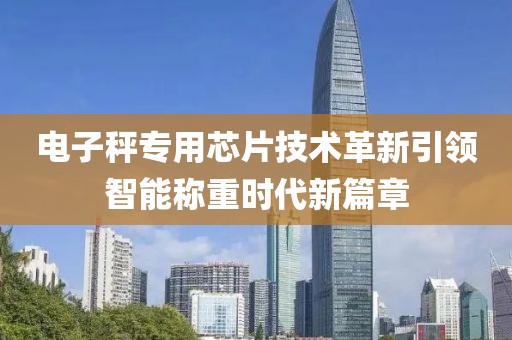 电子秤专用芯片技术革新引领智能称重时代新篇章